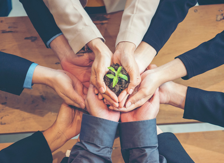Hotels sustainable meetings events - group of hands holding plant